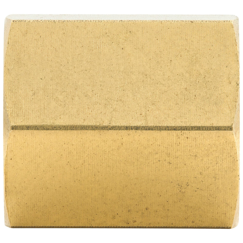 4LIFETIMELINES 3/16 (3/8-24 Inverted) Brass Brake Line Union, Coupler, Pack of 50 - 4LifetimeLines