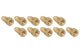Brass Adapter | Female (3/8-24 I) | Male (M10x1.0 B) | 10ct - 4LifetimeLines