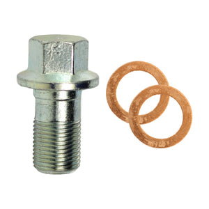 Banjo Bolt Kit, M12 x 1 x 21.3mm, Bag
