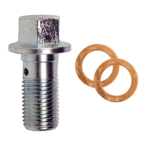 Banjo Bolt Kit, M12 x 1.25 x 25mm, Bag