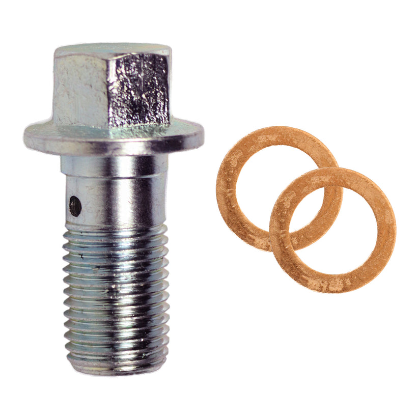 Banjo Bolt Kit, M12 x 1.25 x 25mm, Bag