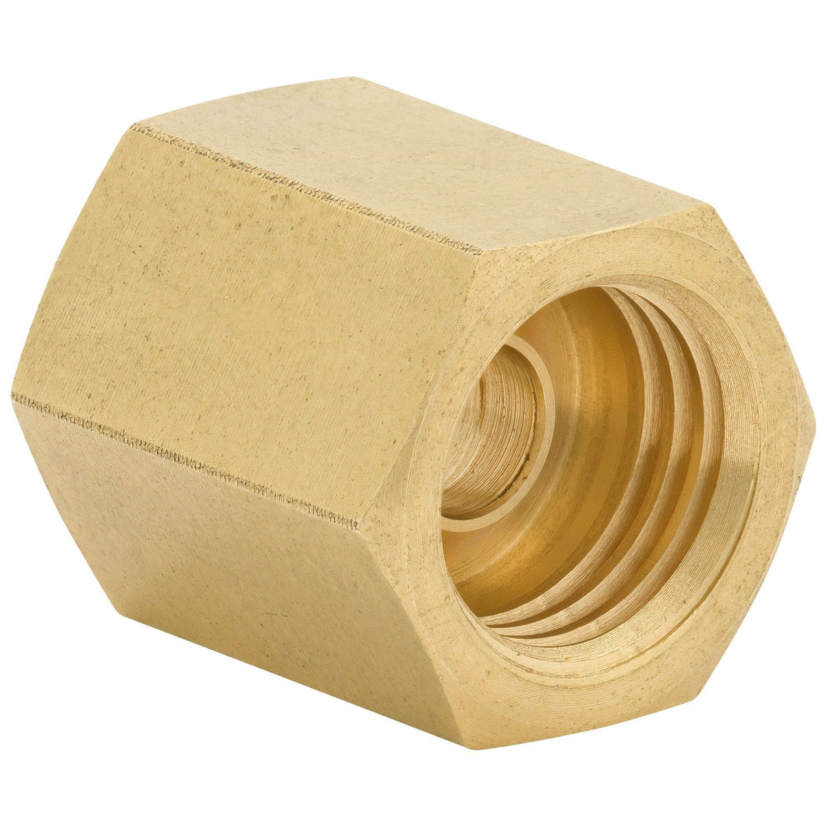 4LifetimeLines 3/16 (3/8-24 Inverted) Brass Brake Line Union, Coupler, Pack of 50 - 4LifetimeLines