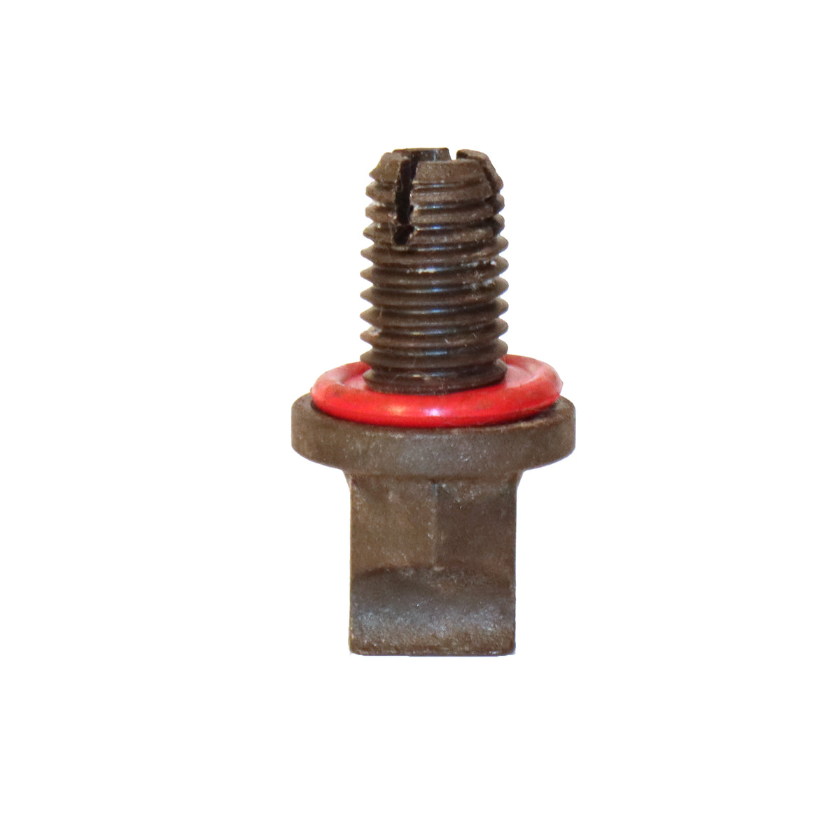 Oil Drain Plug Oil Drain Plug M12x1.75 - 4LifetimeLines LTDP24
