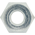 3/16" (Metric 11x1.5 Bubble) | Steel Tube Nut | 10ct - 4LifetimeLines